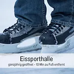 Apartman Marks In - Waldnah, Hundefreundlich, Ruhig! Ideal Fuer Paare Mit Hund Bad Sachsa