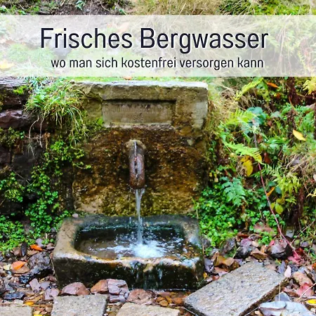Marks In - Waldnah, Hundefreundlich, Ruhig! Ideal Fuer Paare Mit Hund
