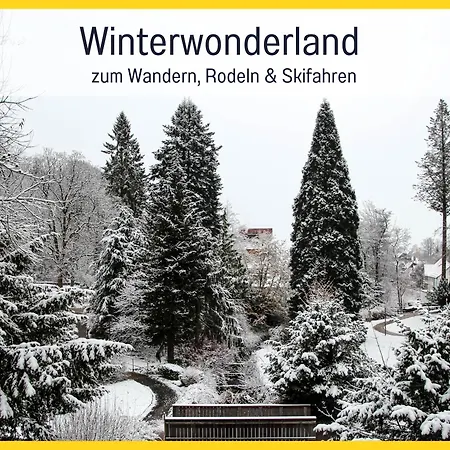 Marks In - Waldnah, Hundefreundlich, Ruhig! Ideal Fuer Paare Mit Hund Bad Sachsa