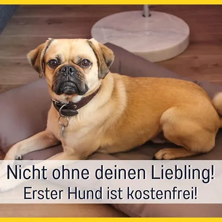 Marks In - Waldnah, Hundefreundlich, Ruhig! Ideal Fuer Paare Mit Hund *