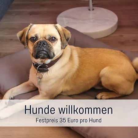 Marks In - Waldnah, Hundefreundlich, Ruhig! Ideal Fuer Paare Mit Hund Bad Sachsa