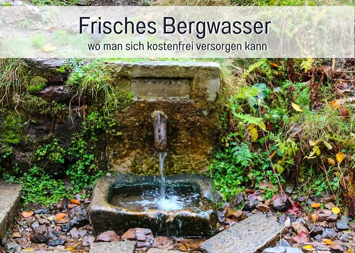 Marks In - Waldnah, Hundefreundlich, Ruhig! Ideal Fuer Paare Mit Hund