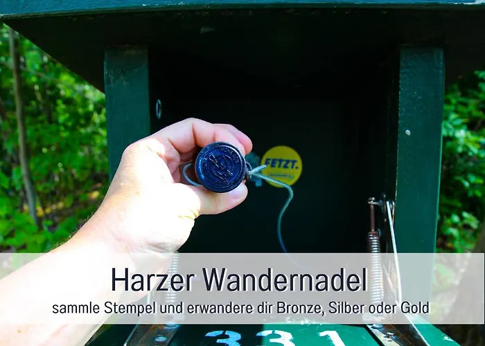 公寓 Marks In - Waldnah, Hundefreundlich, Ruhig! Ideal Fuer Paare Mit Hund *