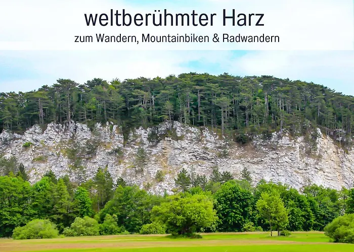 公寓 Marks In - Waldnah, Hundefreundlich, Ruhig! Ideal Fuer Paare Mit Hund