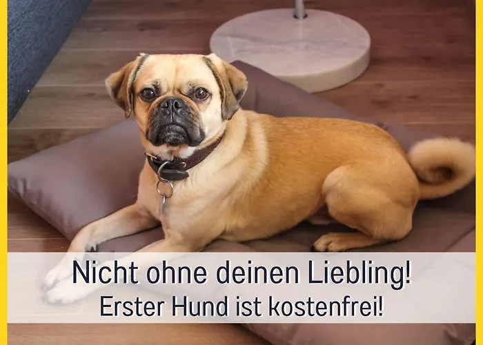 Marks In - Waldnah, Hundefreundlich, Ruhig! Ideal Fuer Paare Mit Hund *